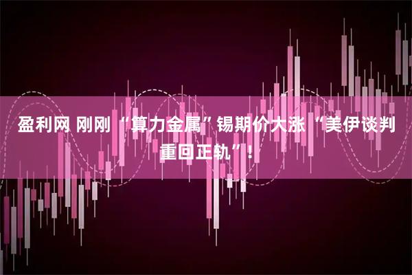 盈利网 刚刚 “算力金属”锡期价大涨 “美伊谈判重回正轨”！
