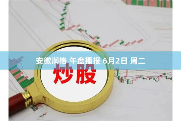 安徽润格 午盘播报 6月2日 周二
